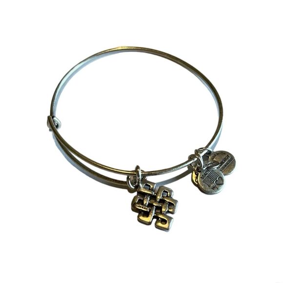 Alex and Ani Endless Knot Silver Charm Bangle Bracelet - Picture 1 of 10